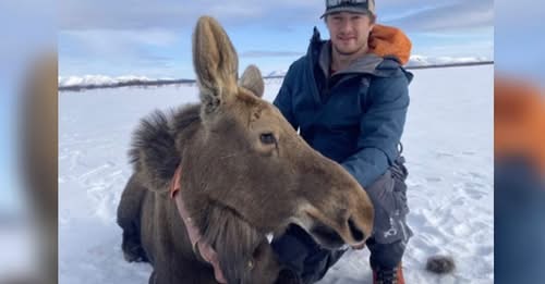 Alaska Wildlife Biologist John Landsiedel Tragically Dies in Dillingham Plane Crash—Community Devastated by Loss of Beloved 33-Year-Old Scientist Dedicated to Nature and Conservation – Read the full story