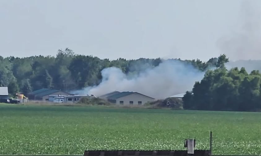 Kevin Lawrence Grand Rapids Michigan Obituary – Kevin Lawrence Tragic Plane Crash Death – Kevin Lawrence and Paul Shalk Killed in Shocking Lowell City Airport Aviation Disaster – Read the full story