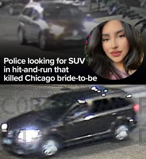 22-Year-Old Marcella Herrera Killed in Chicago Hit-and-Run — Fiancé Critically Injured as Police Launch Manhunt for Driver in Heart-Wrenching Pilsen Crash — Read the Full Story